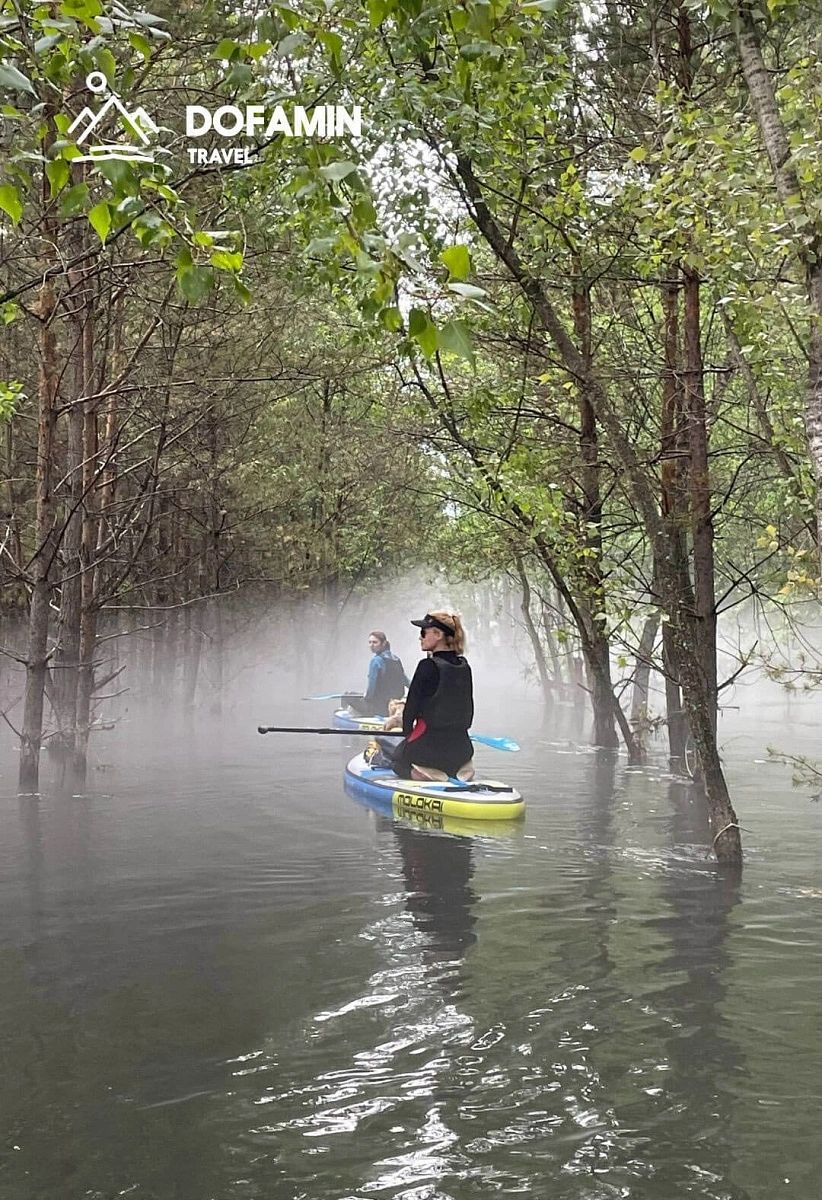 SUP-тур Остров "Пионерский" в Красноярске